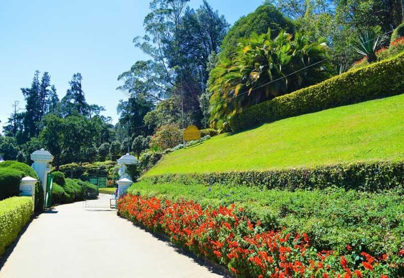 Mount View Two Bed * Nuwara Eliya