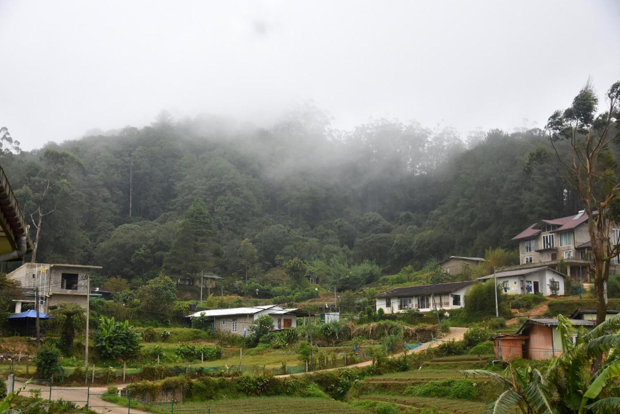 Mihidum Sihina Guest Guest house