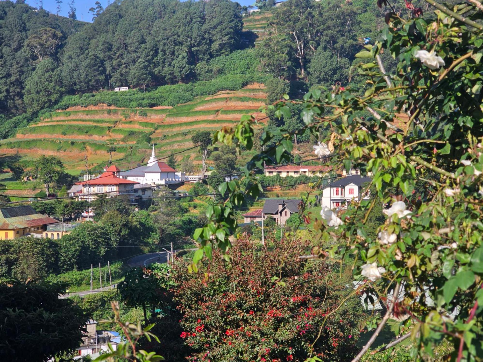 Haven Backpackers * Nuwara Eliya