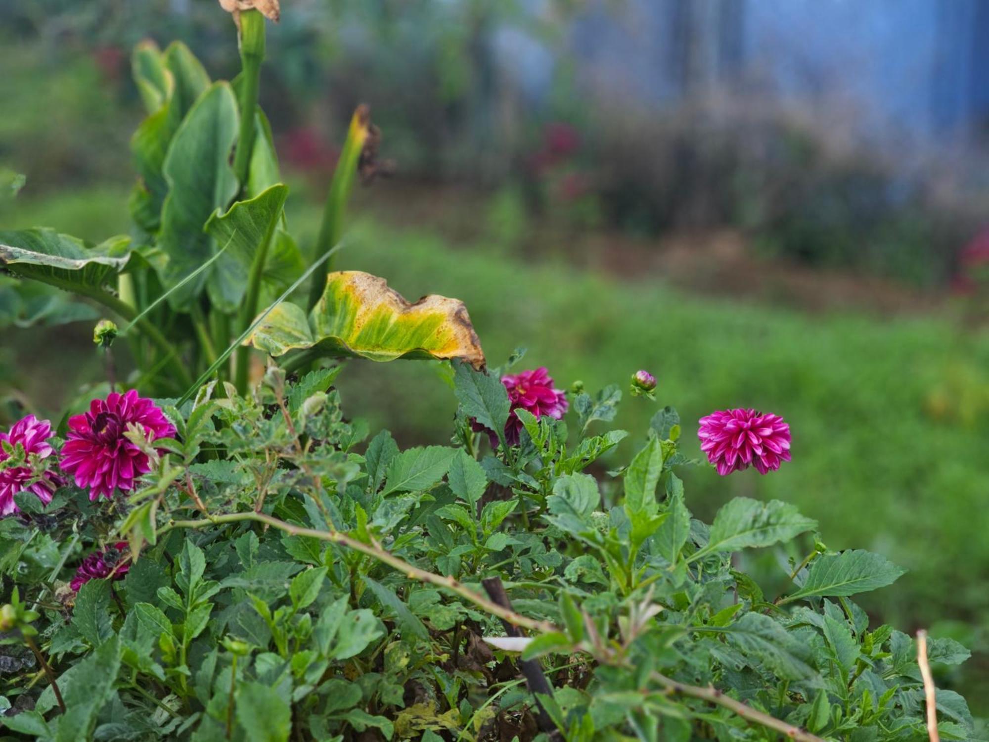 Haven Backpackers Hostel