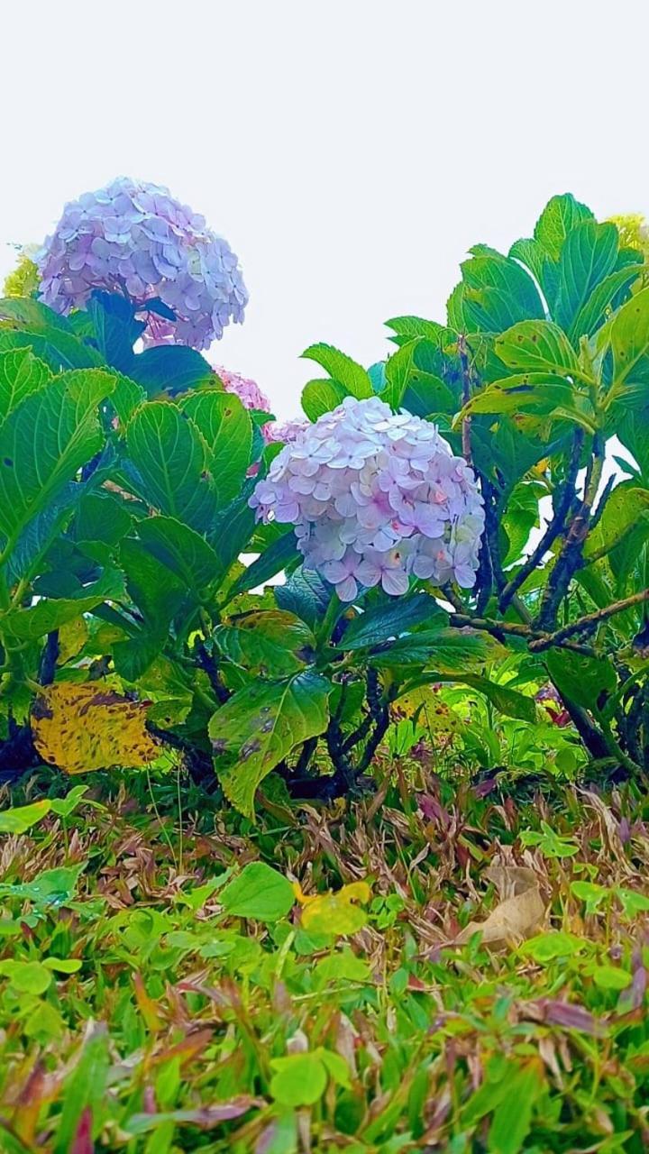 Hotel Cozy Nuwara Eliya