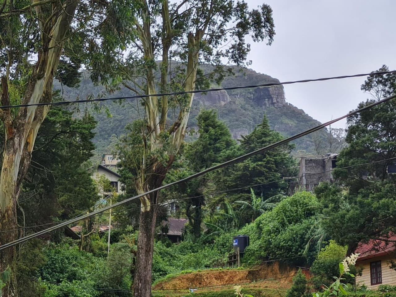 Sasru Nuwara Eliya