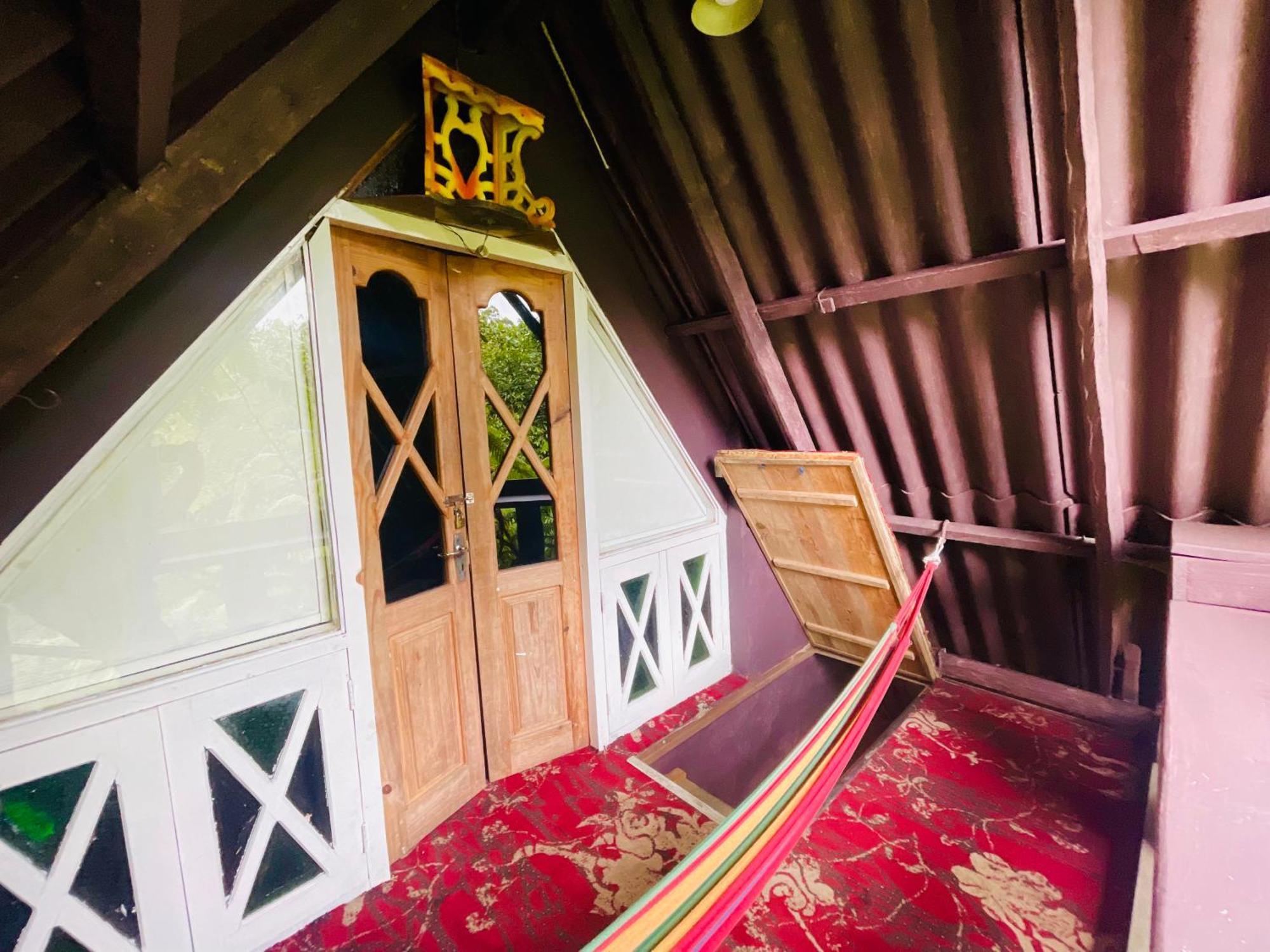 King Fern Guest house