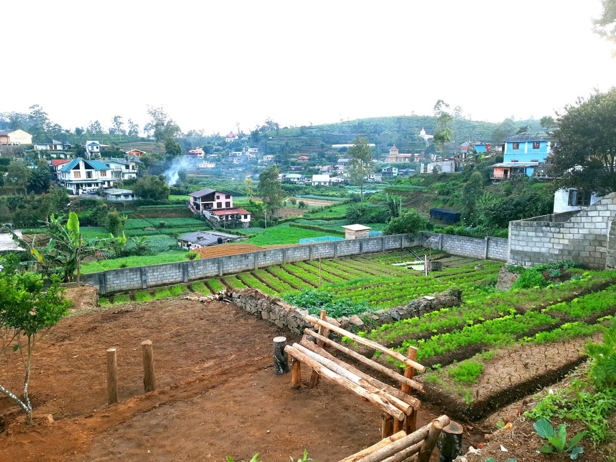 - Farm Apartment Nuwara Eliya