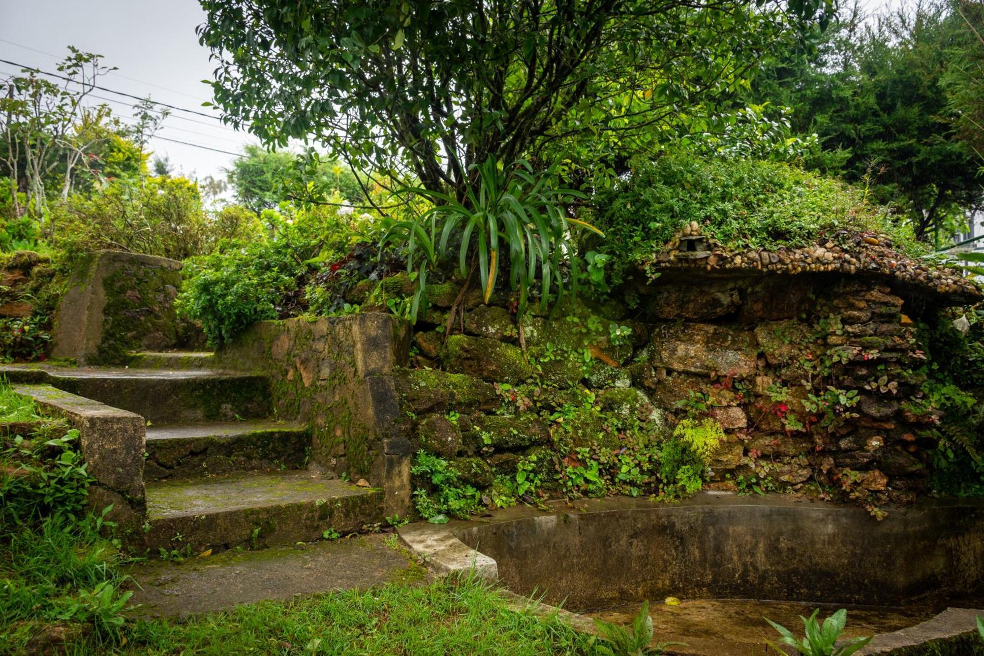 Tranquil Garden Nuwara Eliya