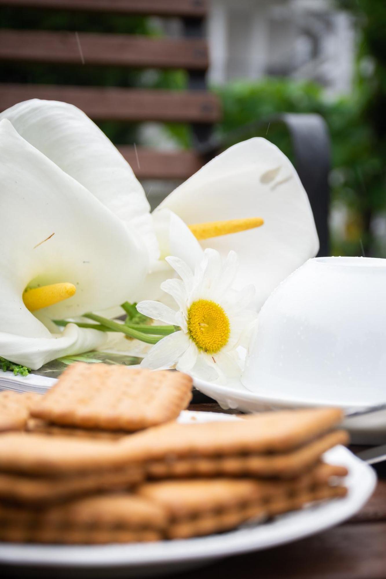 Tranquil Garden Nuwara Eliya