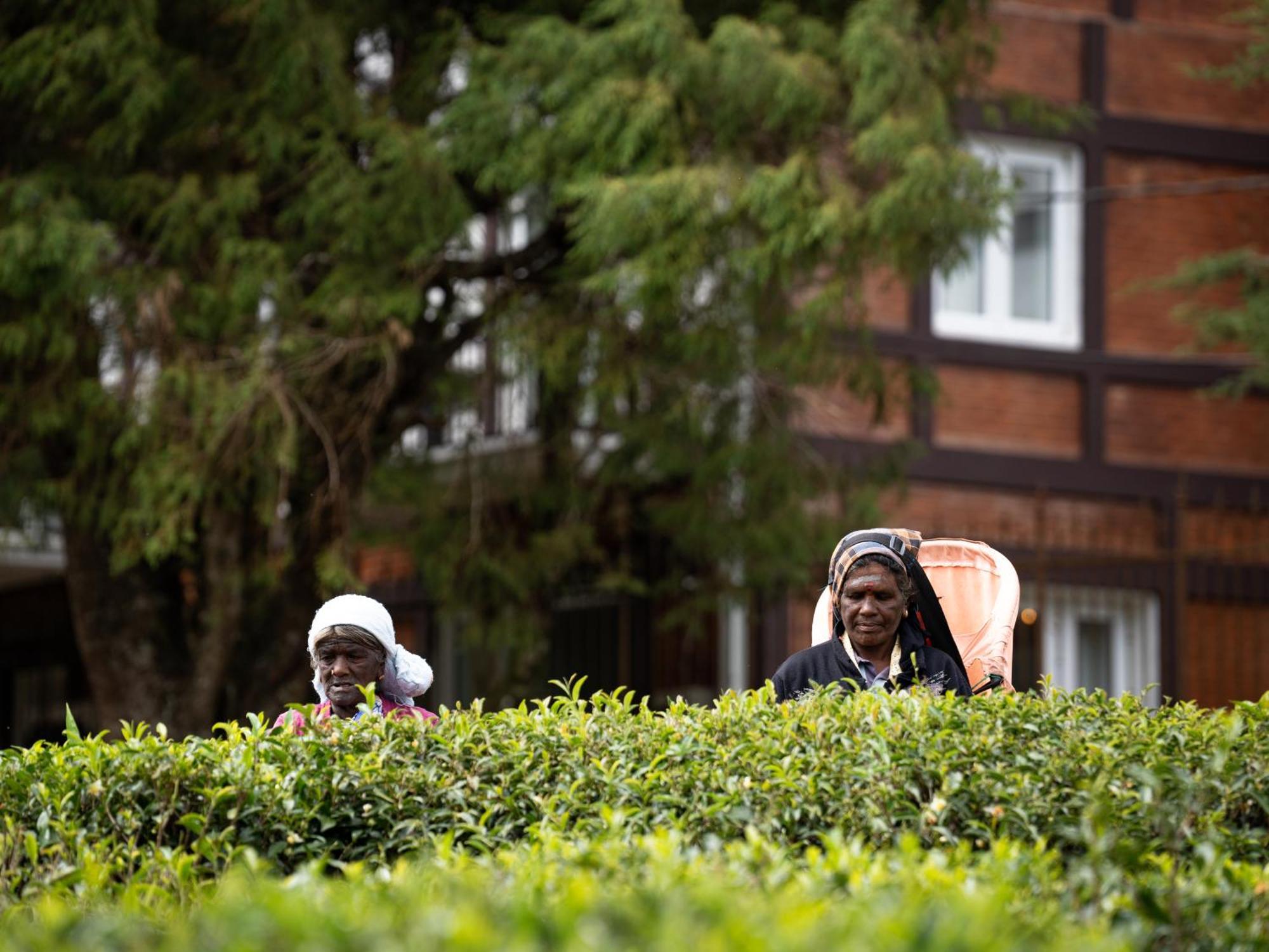 Winchester Little England Hotel Nuwara Eliya