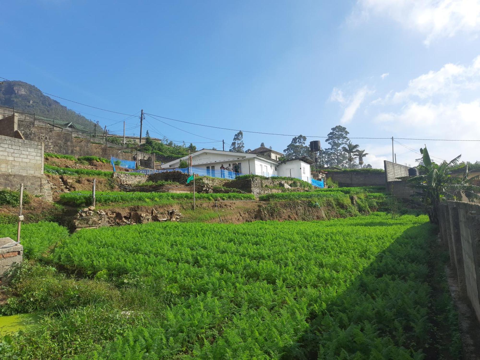 - Farm Apartment