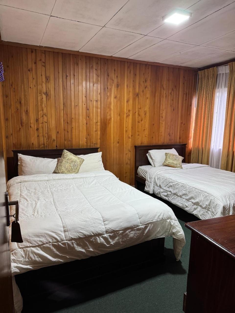 Single Tree Hotel