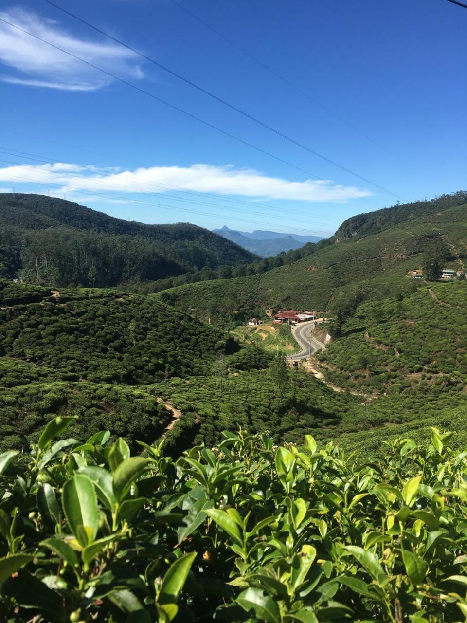 Methmi Rest Guest house *