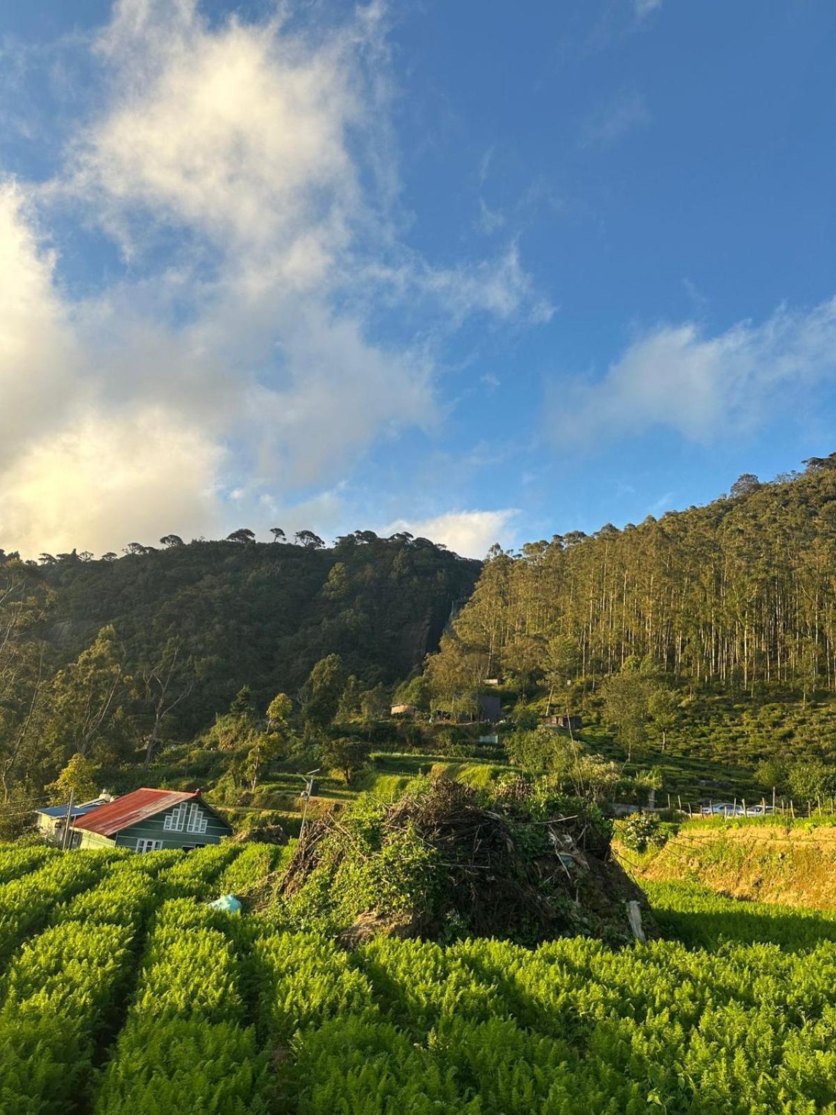 The Mount Nuwara Eliya