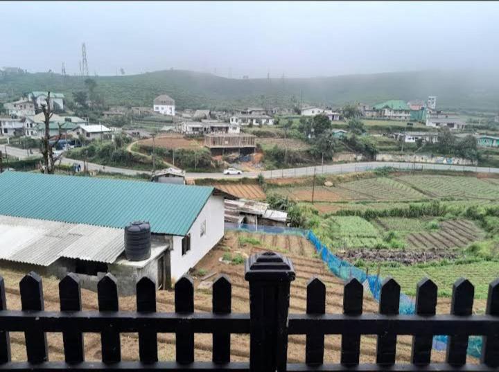 Shiny Cot Full * Nuwara Eliya