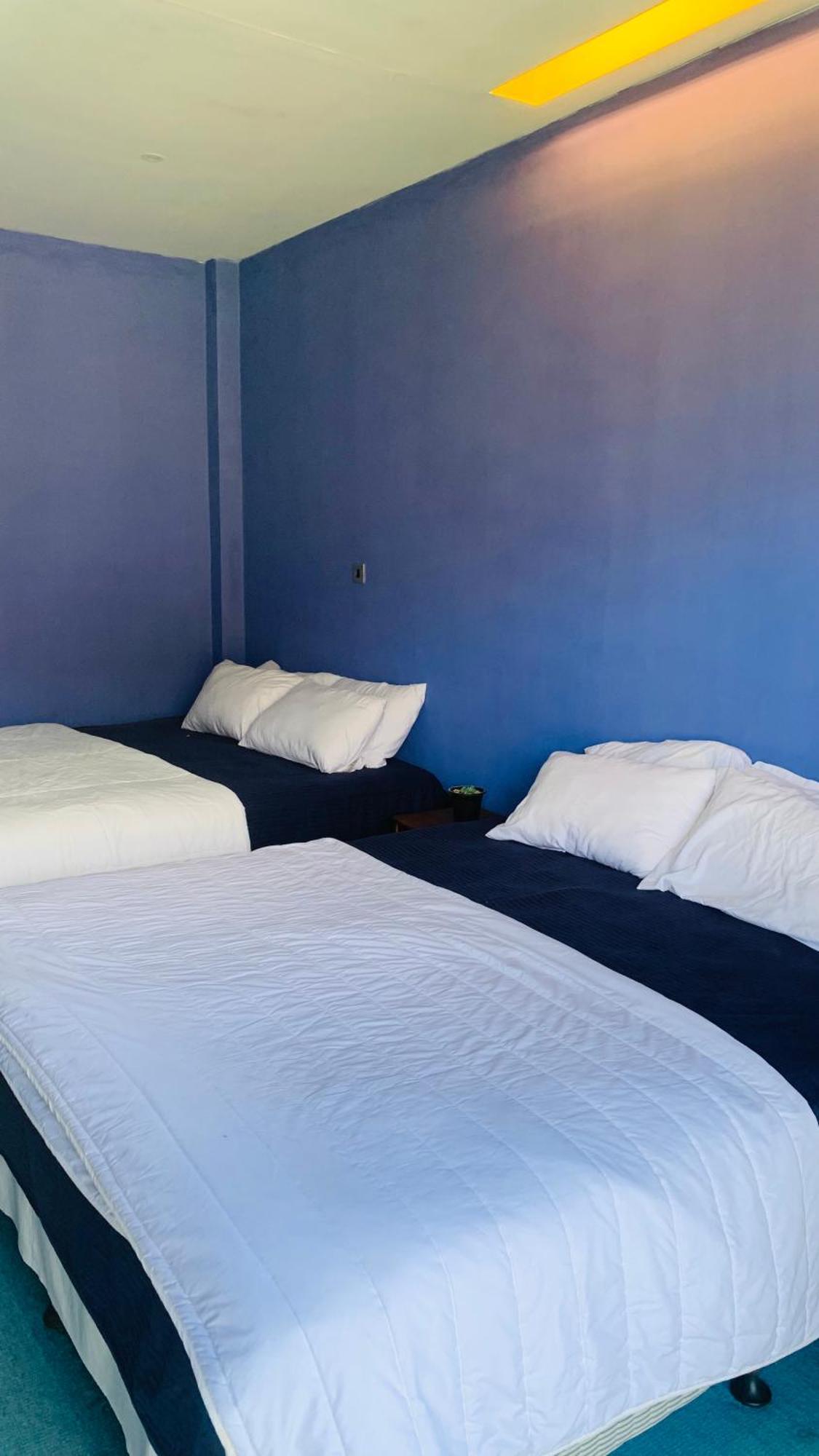Guest house Venus *