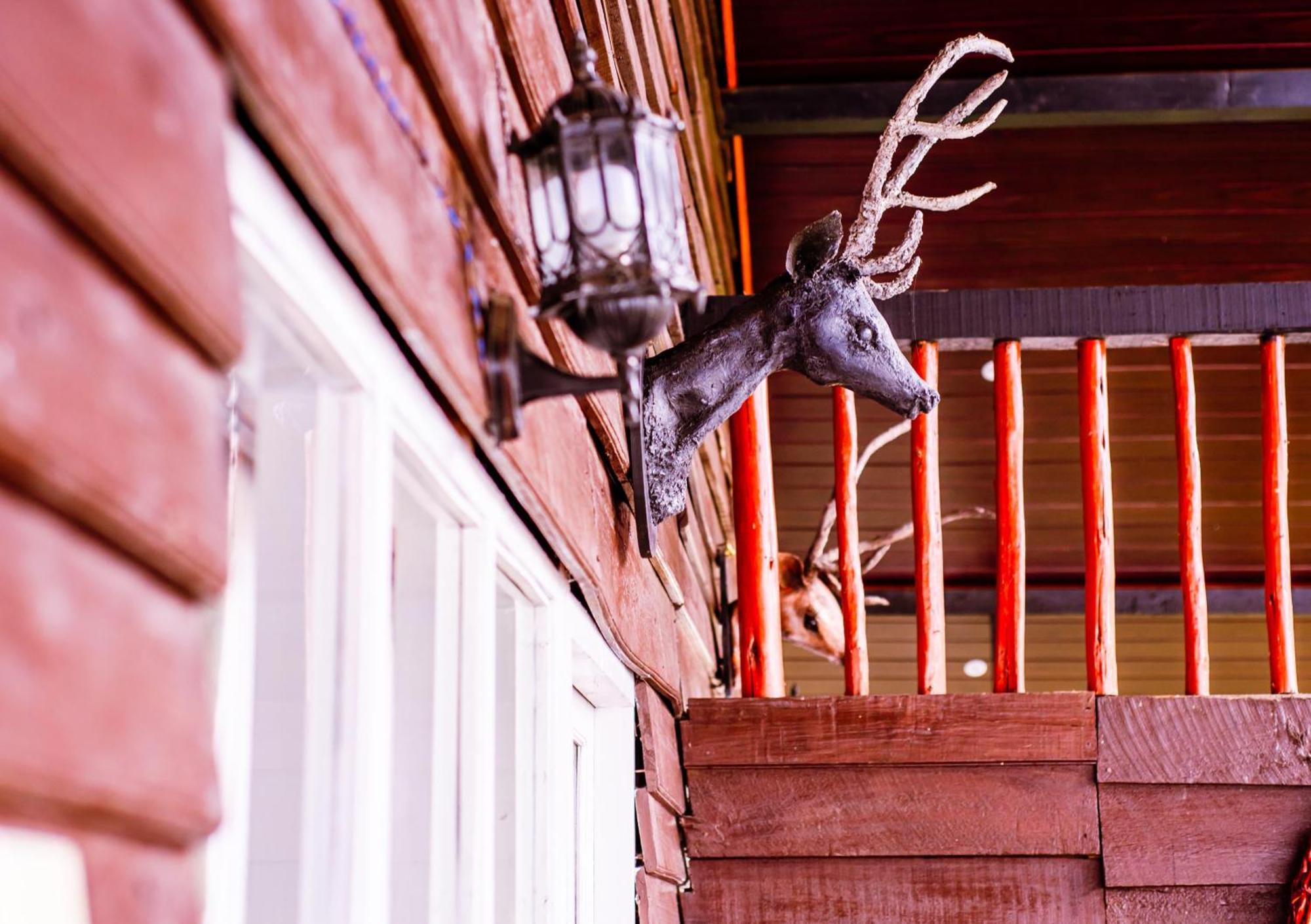 Nature Hotel Nuwara Eliya