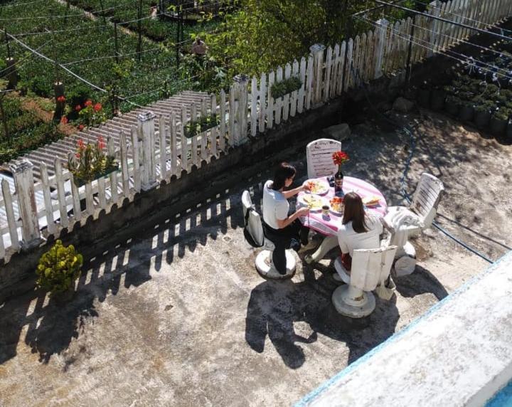 Vibe Way * Nuwara Eliya