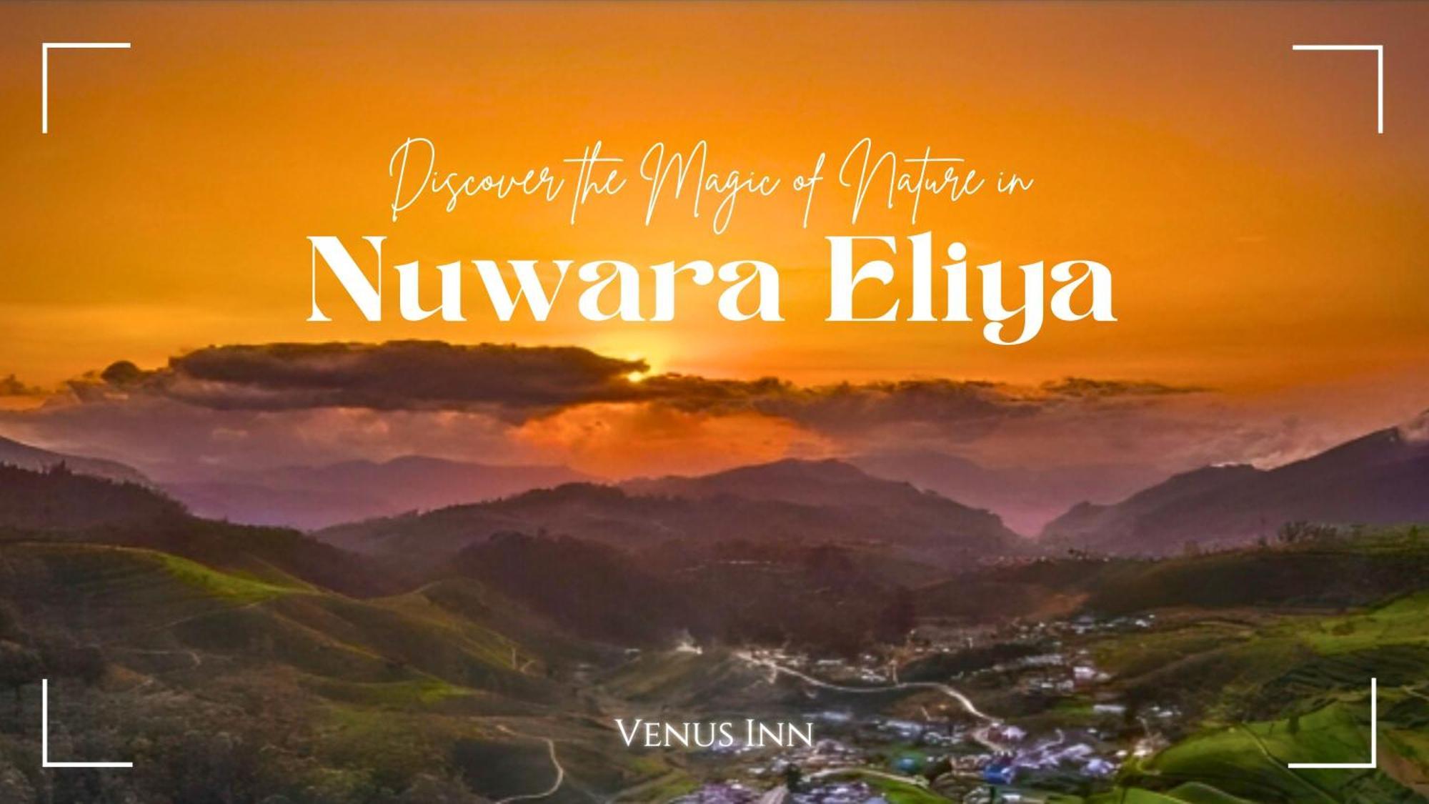 Venus Guest house Nuwara Eliya