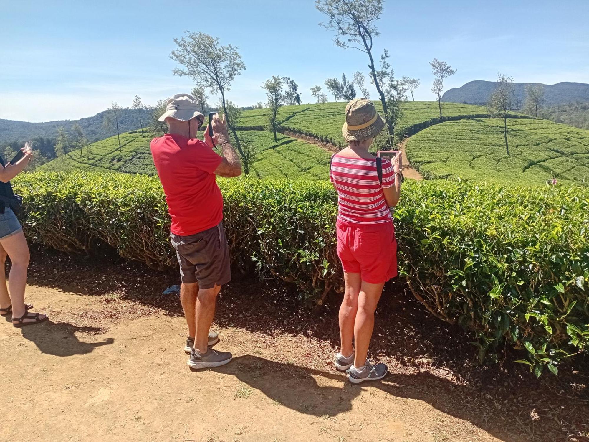 Serenity Heights * Nuwara Eliya