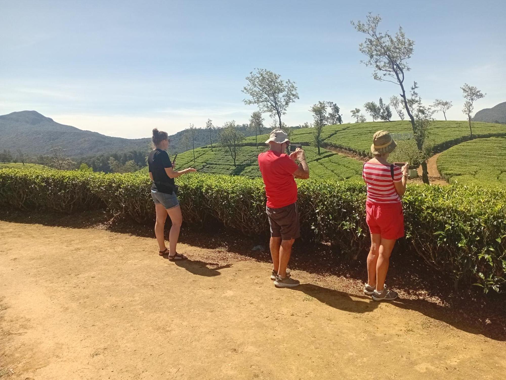 Serenity Heights * Nuwara Eliya