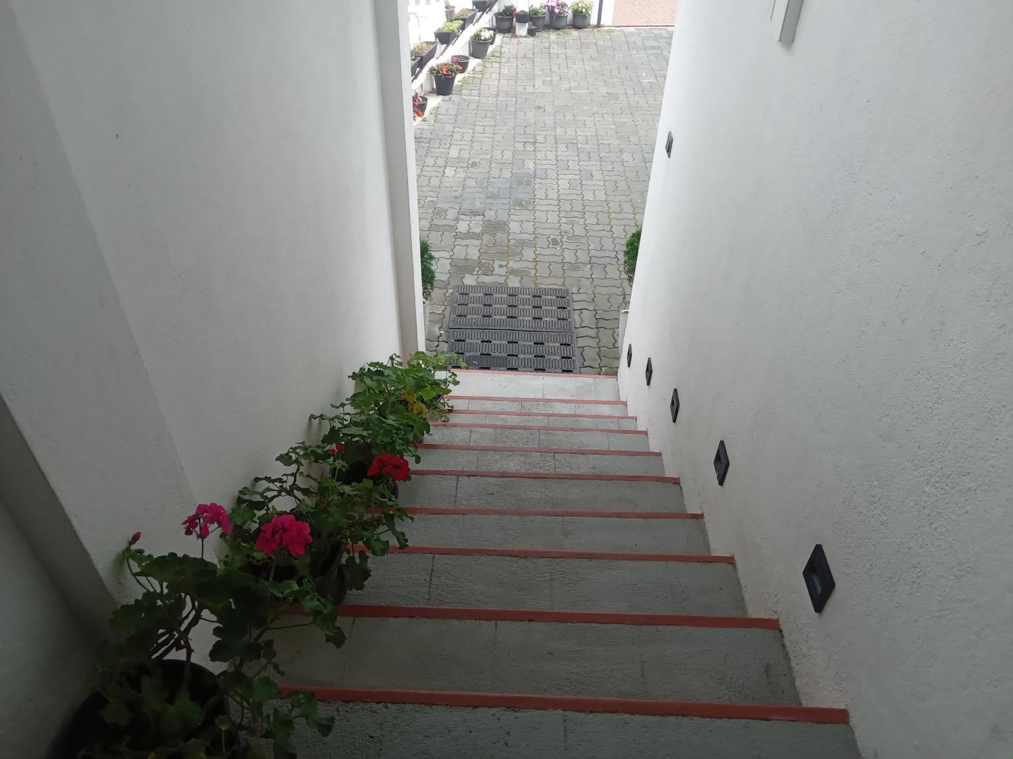 Summer Glow Guest - Guest house *