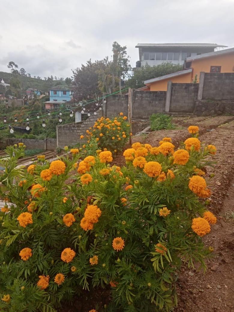 - * Nuwara Eliya