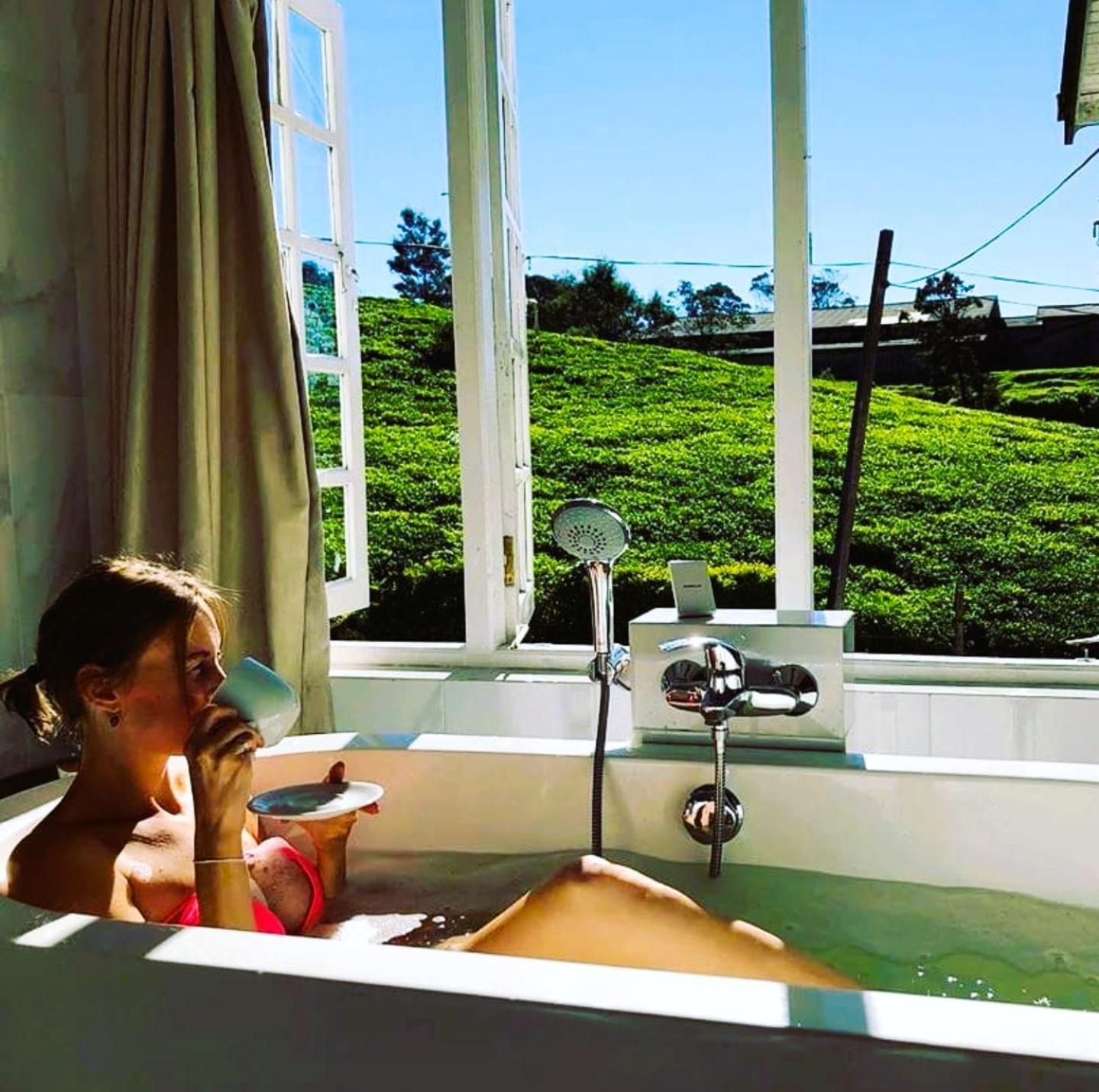 Tea Fields Nuwara Eliya