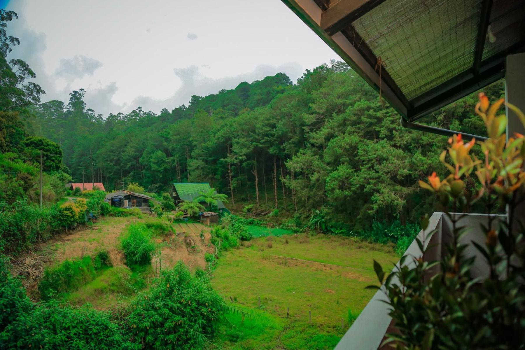 Apartment The Backwoods -