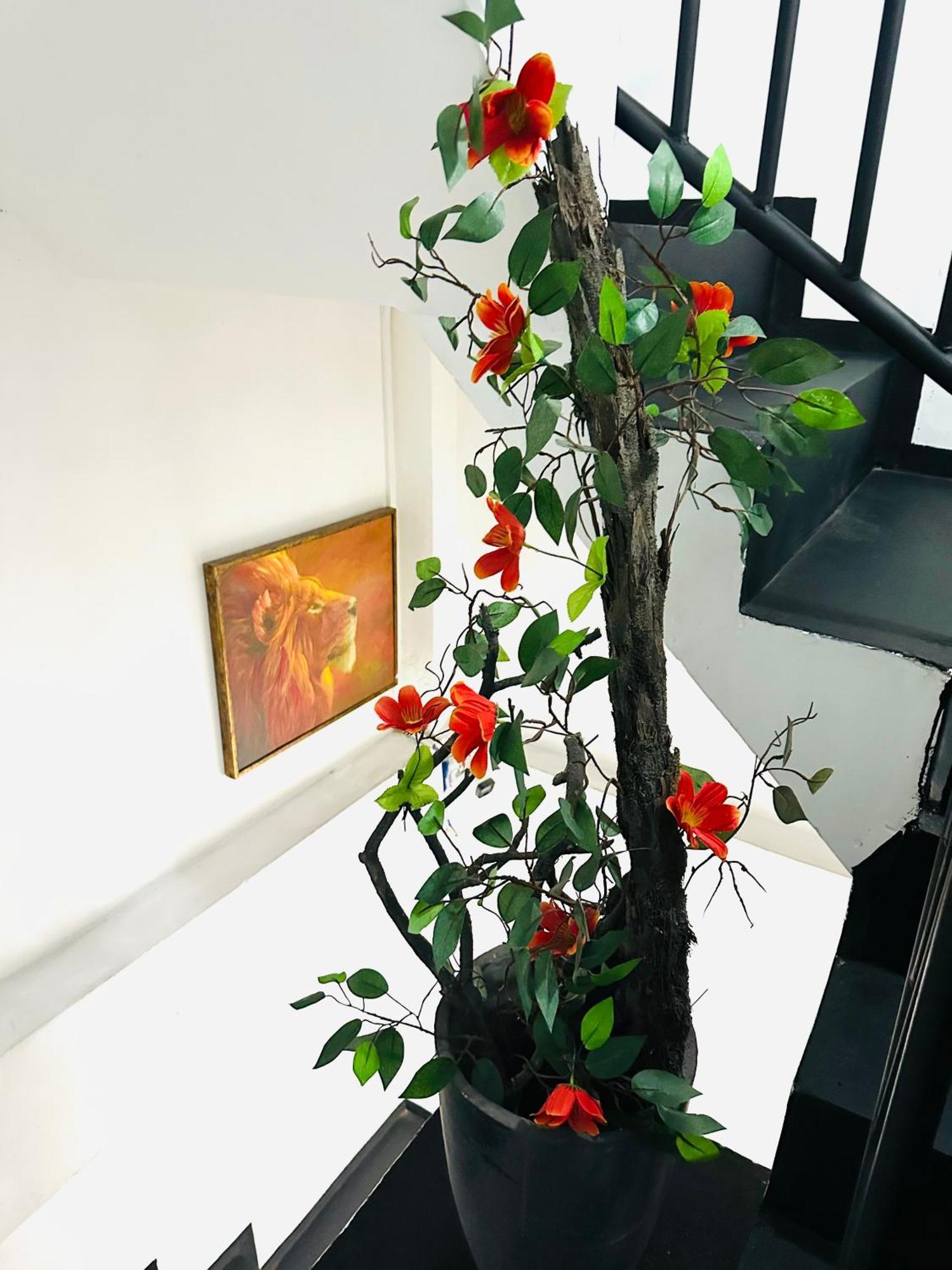Guest house Hazel Town House Nuwara Eliya