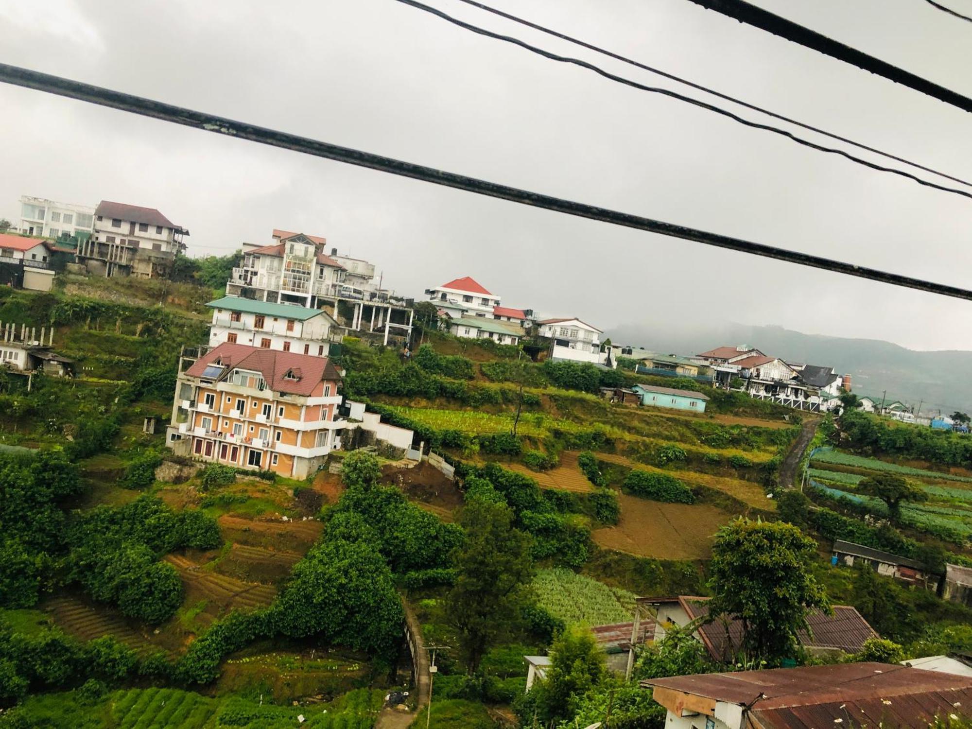 Tea Of Life * Nuwara Eliya
