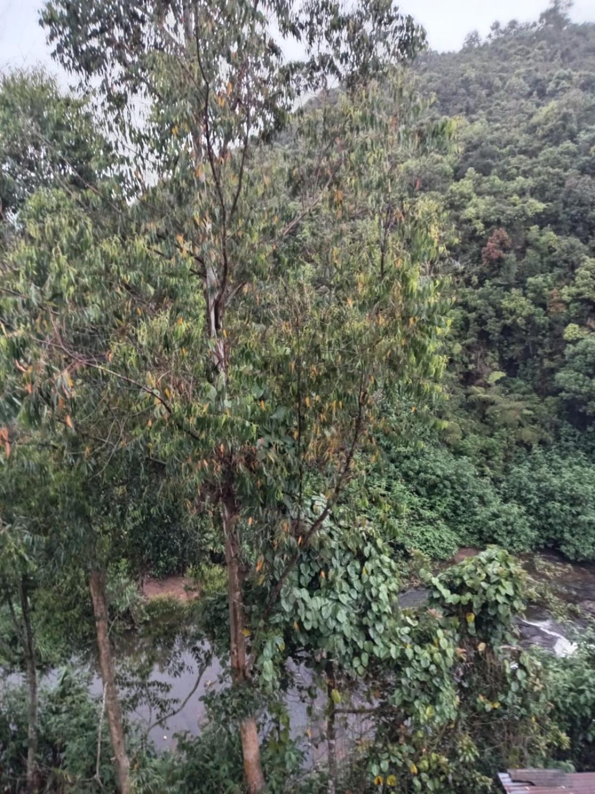 Gregory River View Guest house Nuwara Eliya