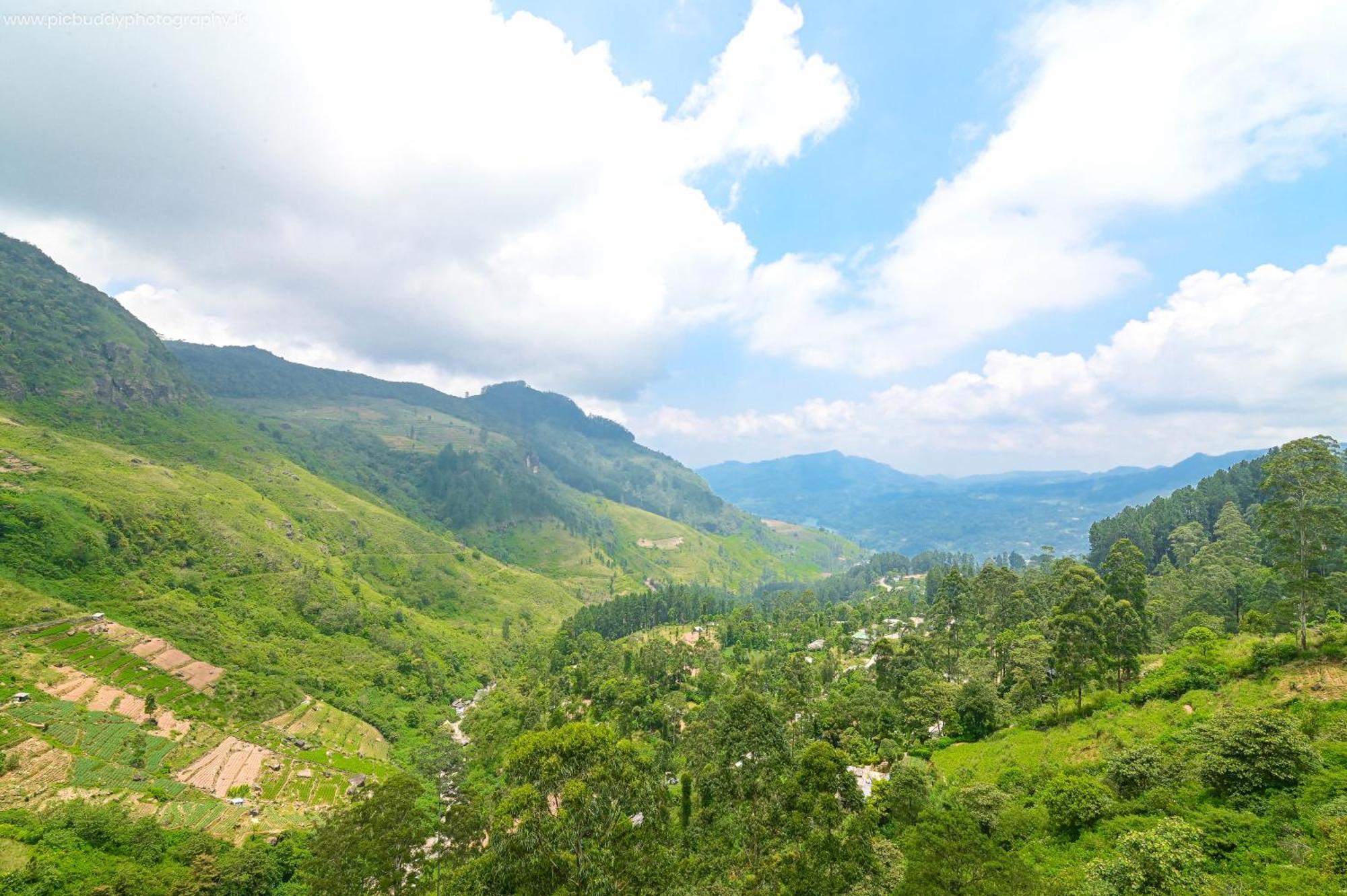 Natural View * Nuwara Eliya