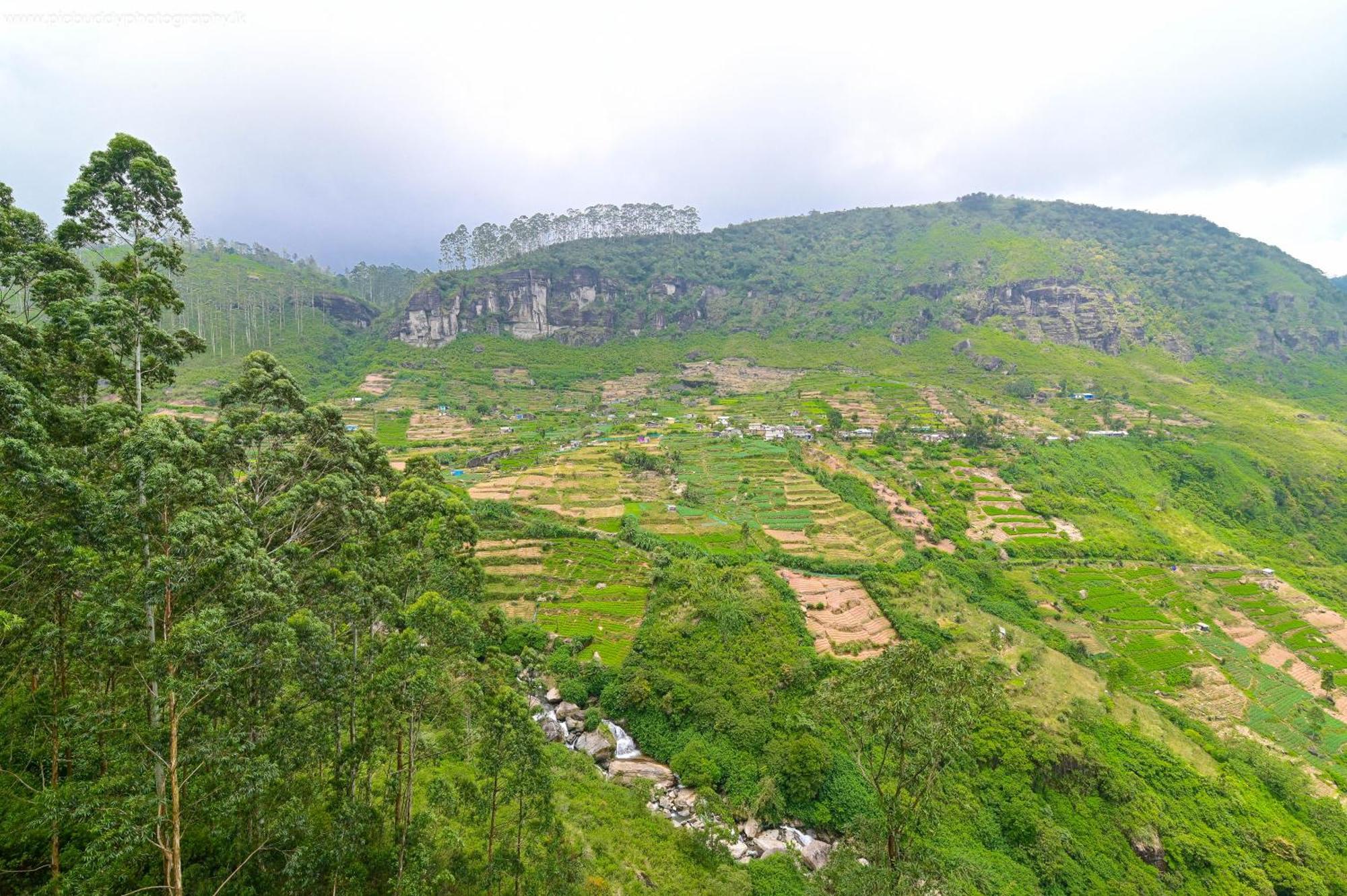 Natural View * Nuwara Eliya