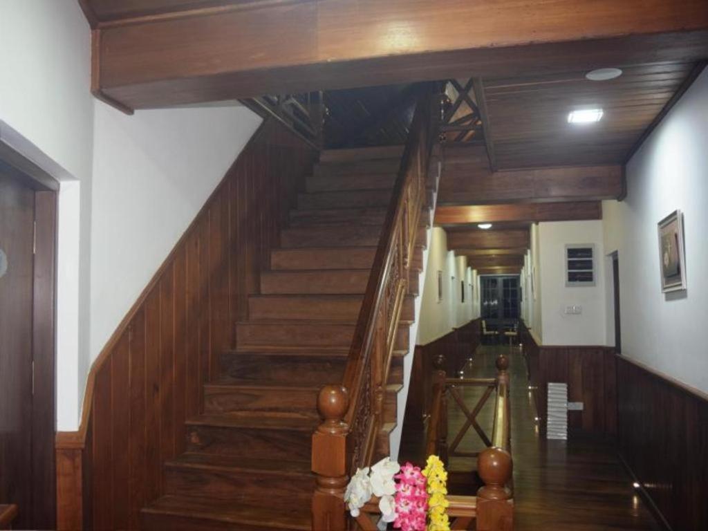 Daffodils Nuwara Eliya