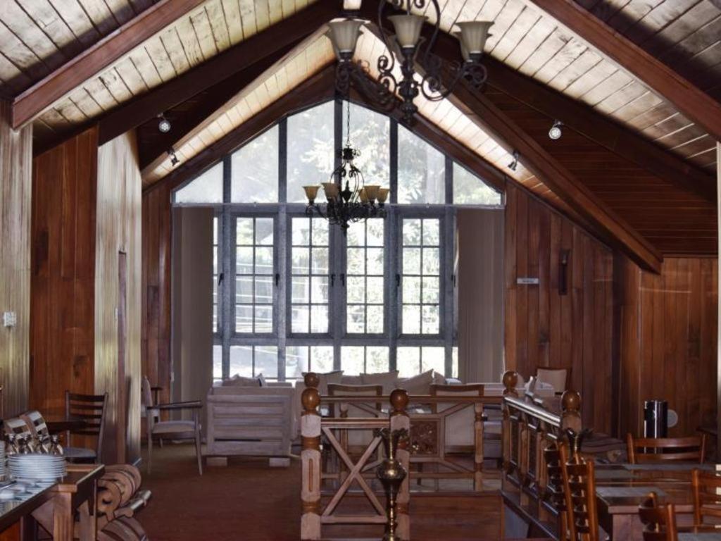 Daffodils Nuwara Eliya