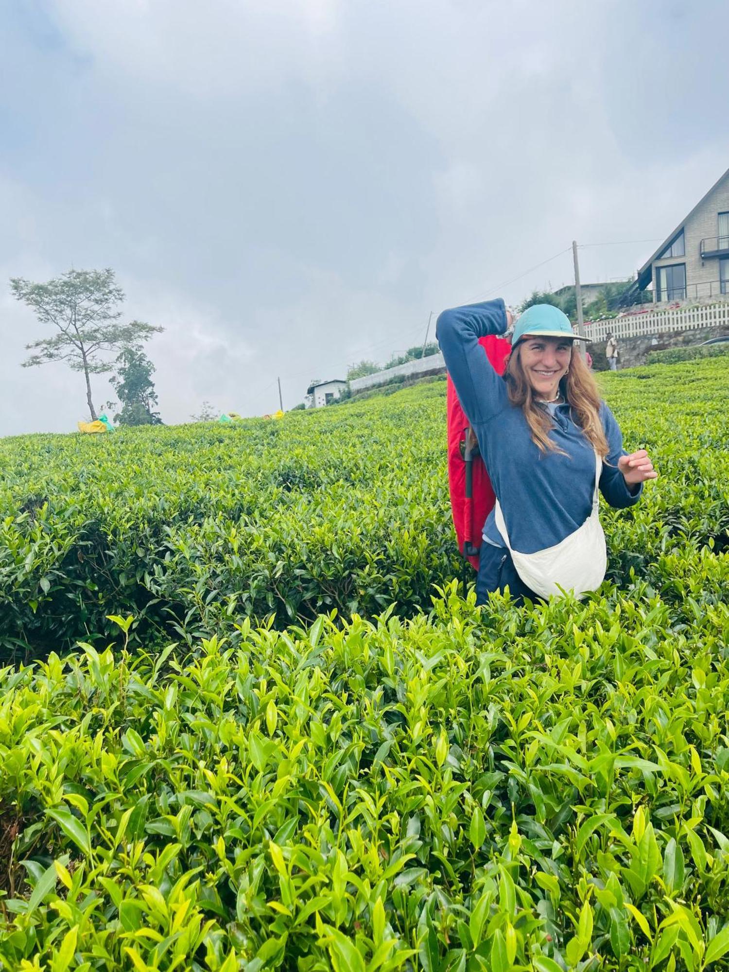 The Frost Hotel Nuwara Eliya