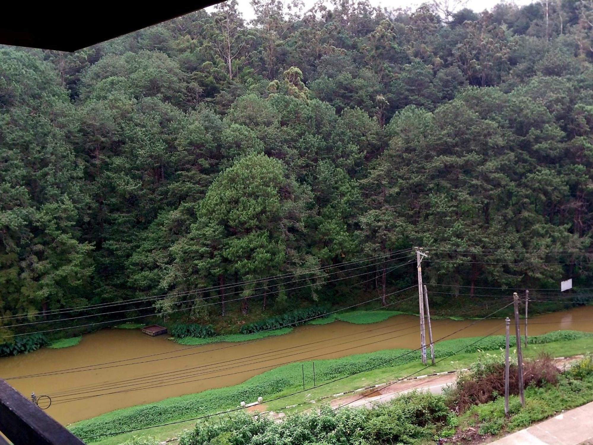 Drizzle Ridge *