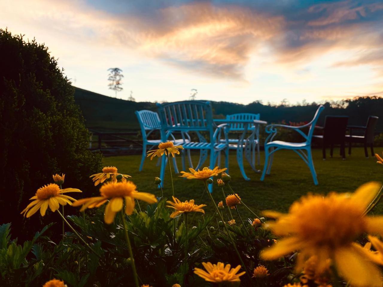 Friendly Hills Hotel 2*