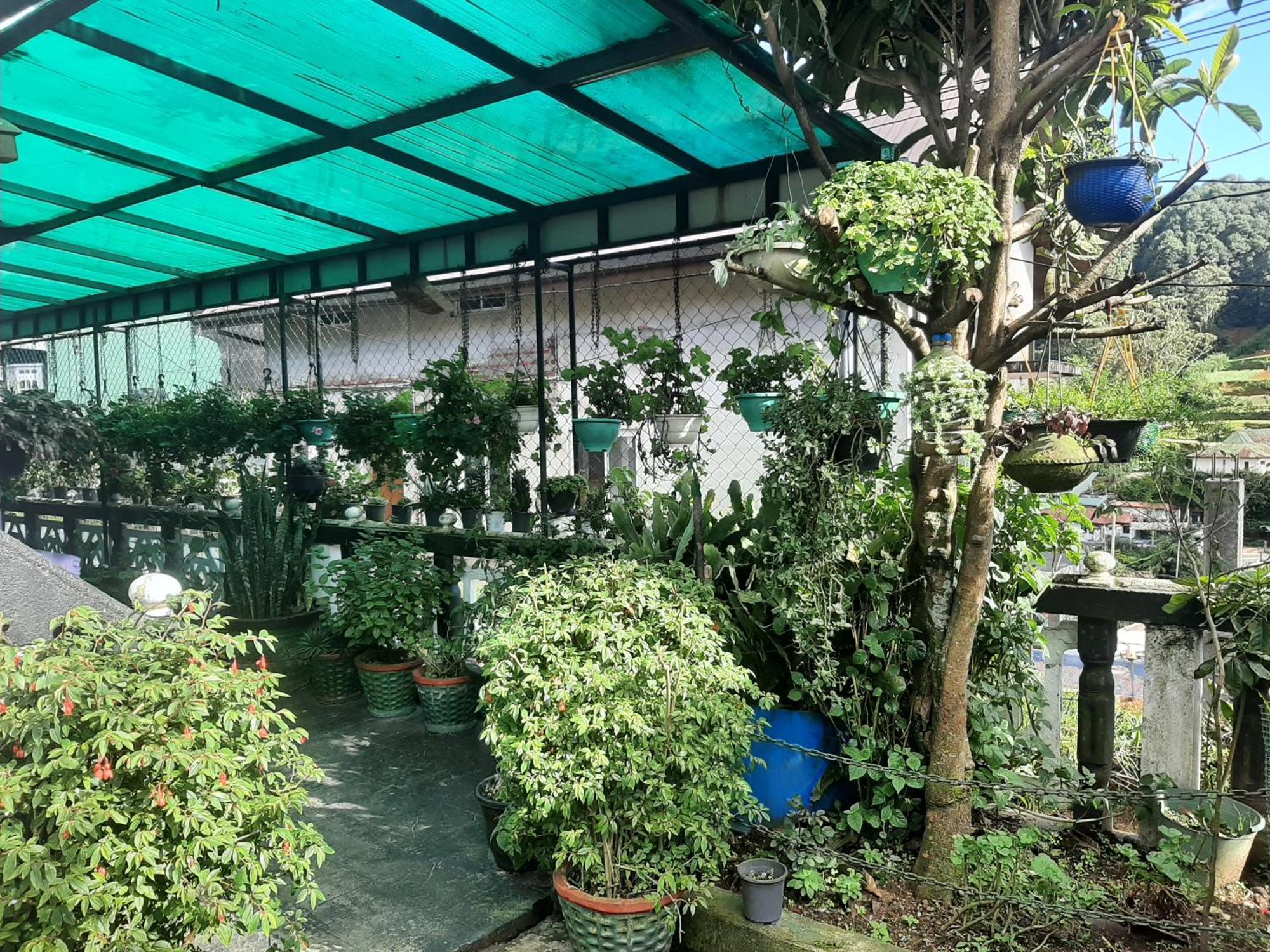 Guest house Mapelle House