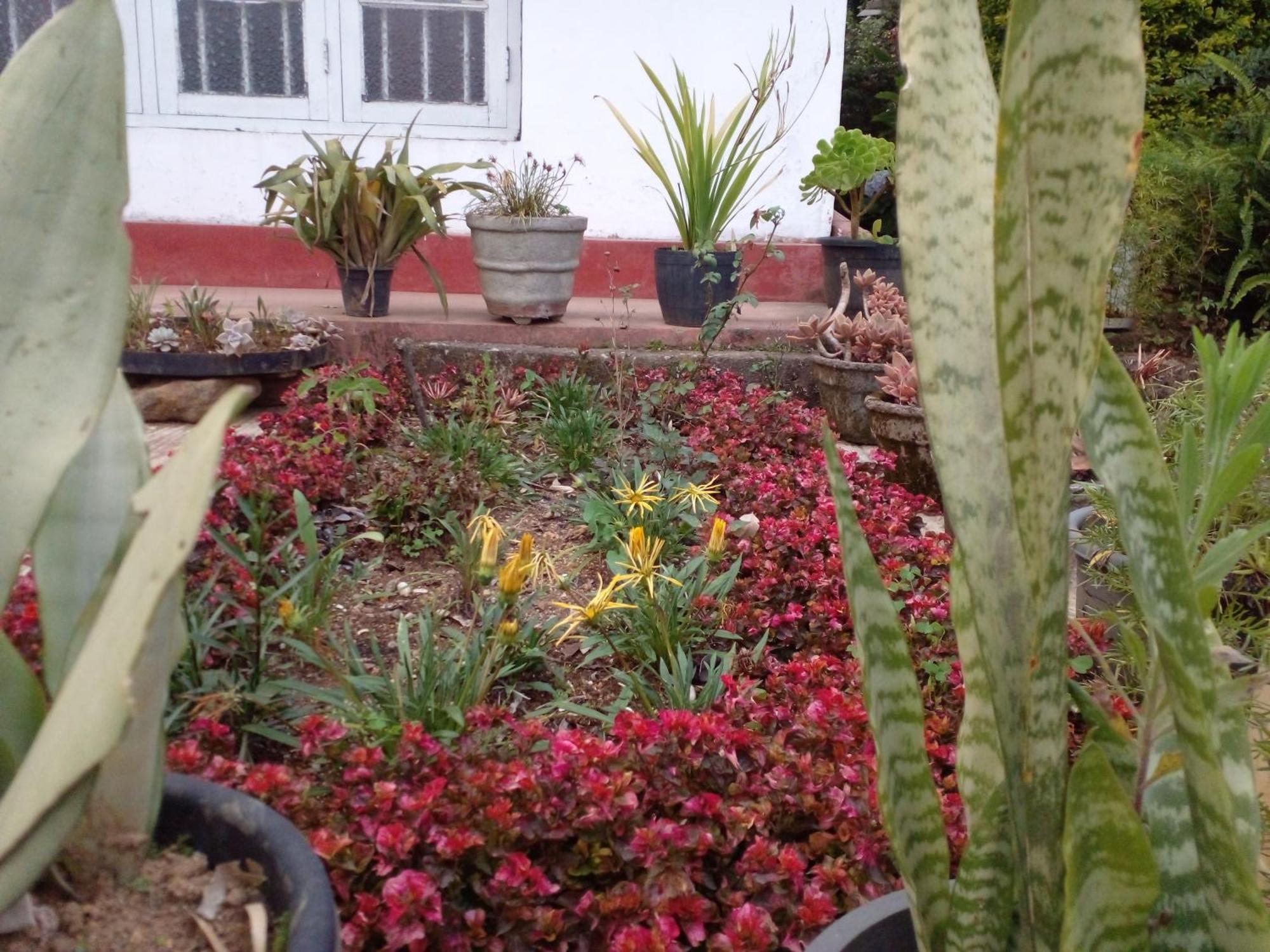 Homestay Blackpool 55 Nuwara Eliya