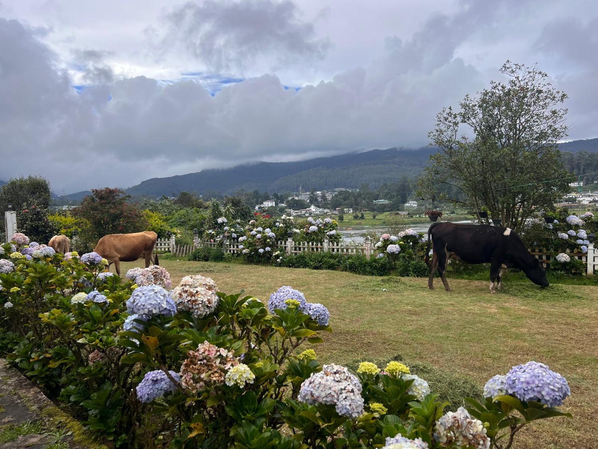 Lakeside Garden 湖畔花园山居