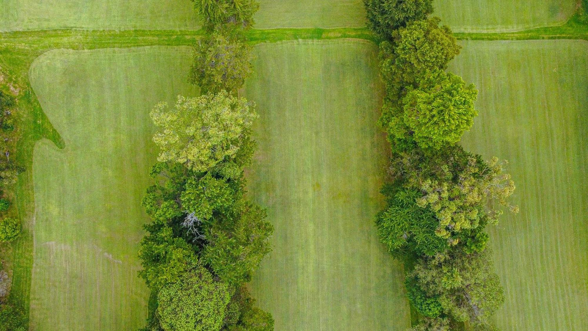 Golf Club 3* Nuwara Eliya