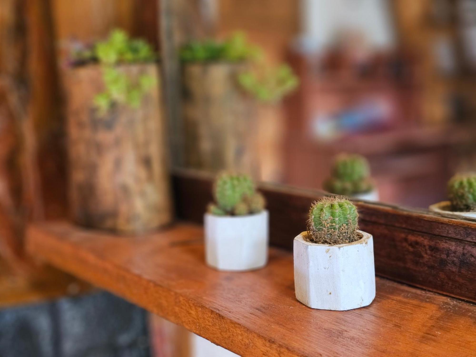 Haven Backpackers Hostel Nuwara Eliya