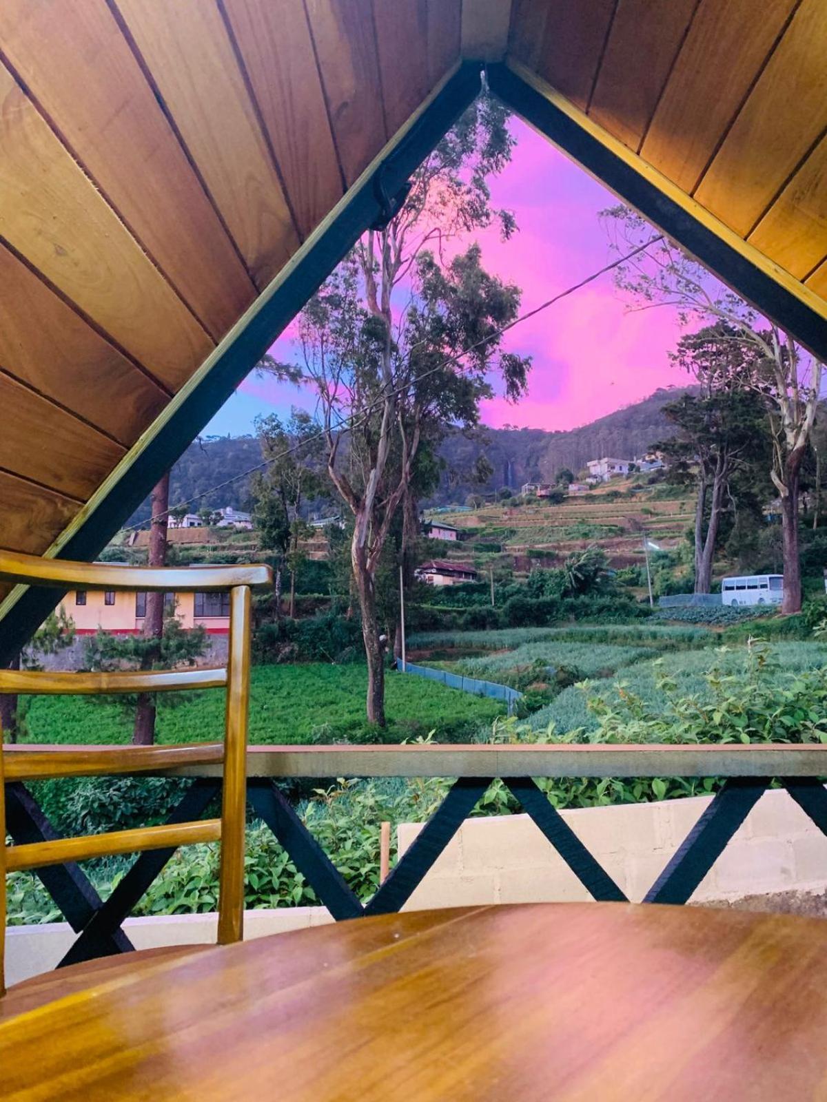 20/20 Wood Nuwara Eliya