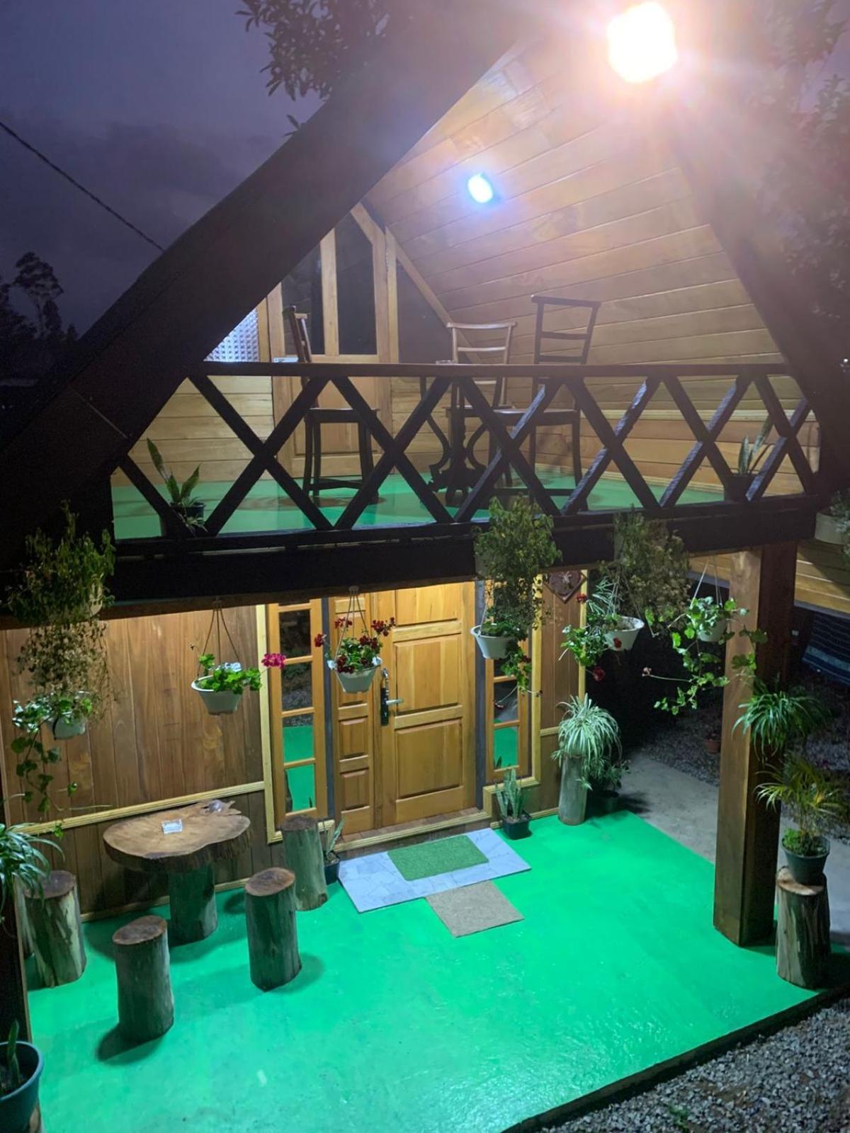 Homestay 20/20 Wood *