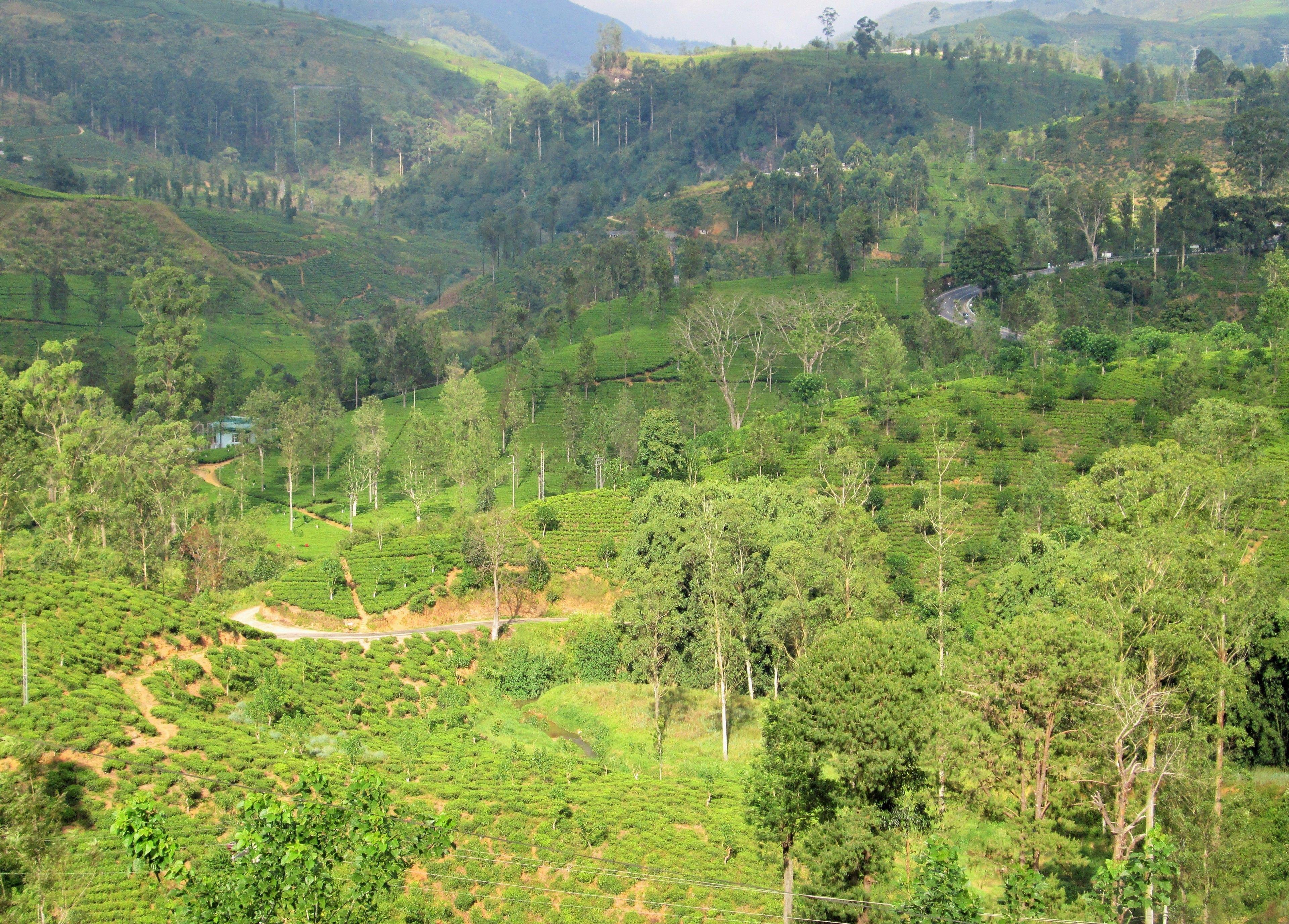 Langdale Boutique By Amaya