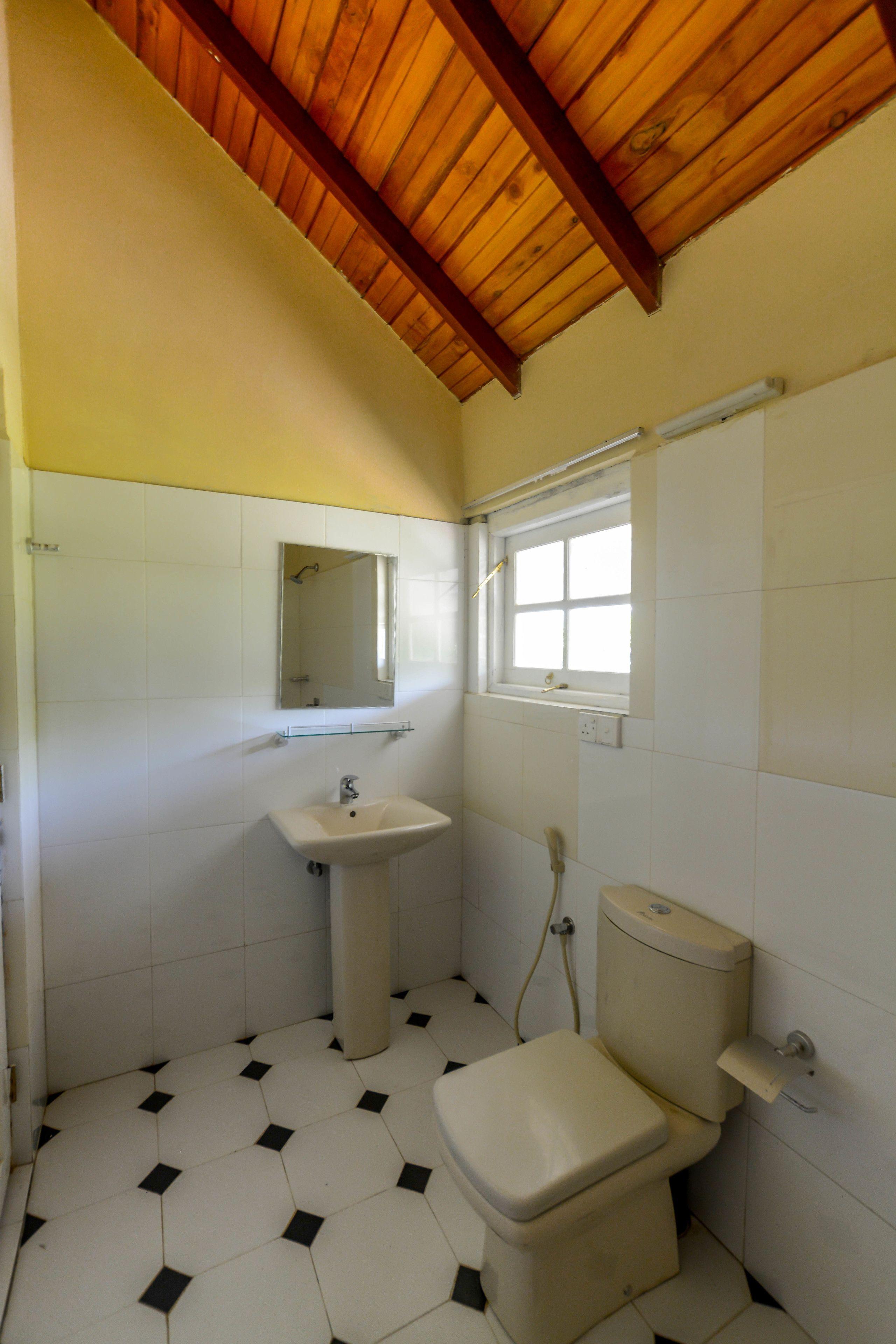 Tea Fields Nuwara Eliya