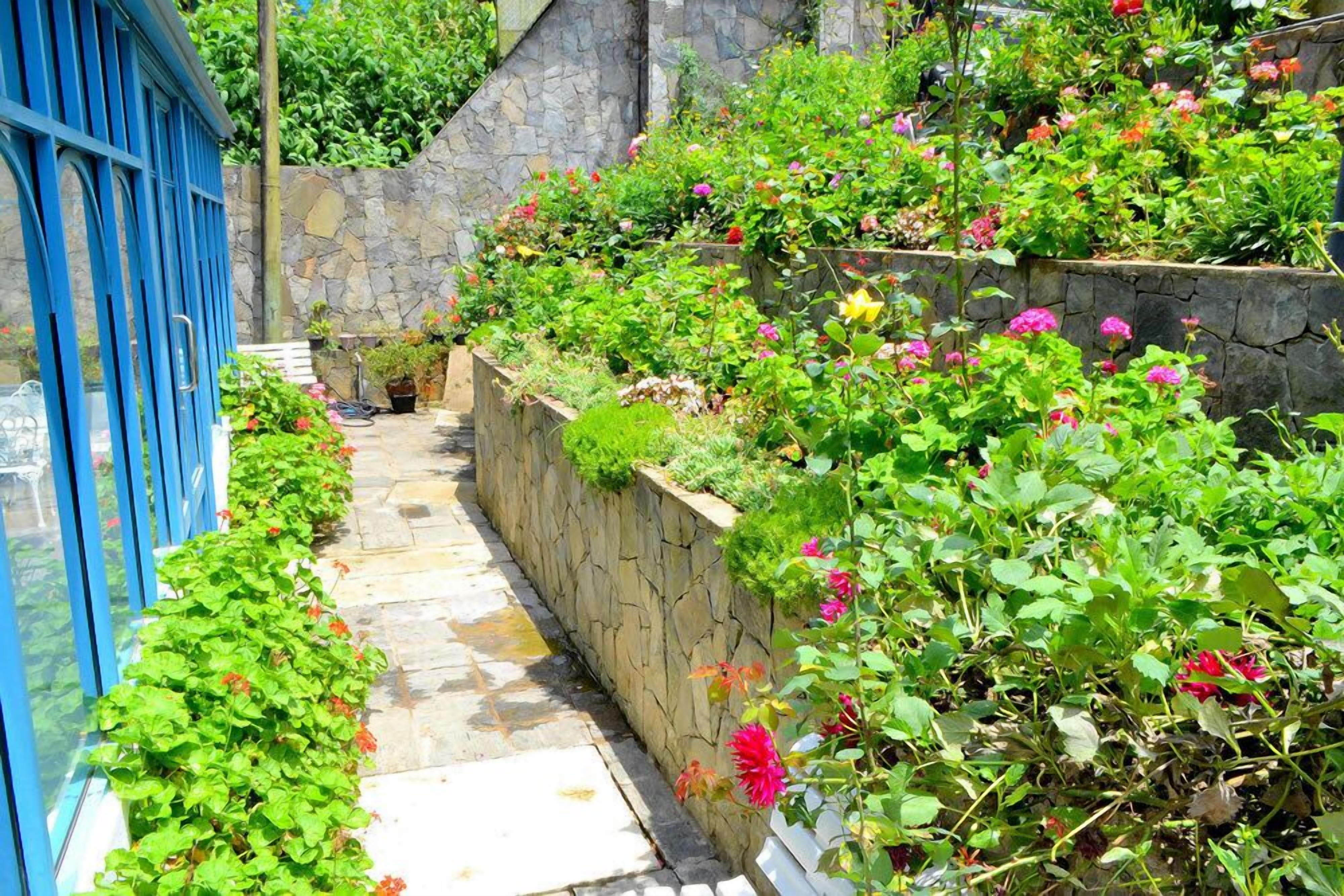 Daffodils 4* Nuwara Eliya