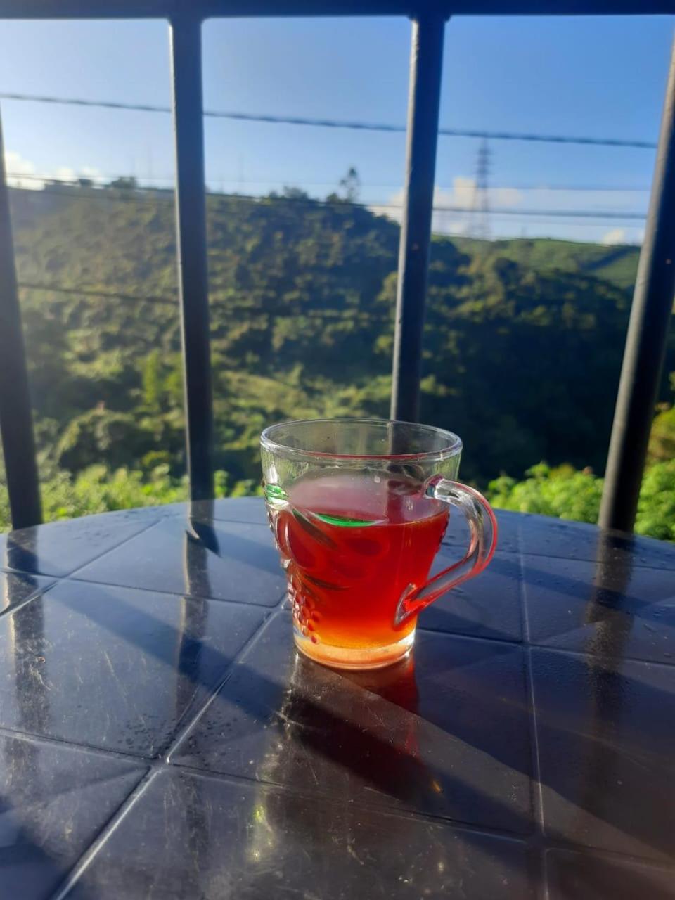 Lavender & Wood Nuwara Eliya