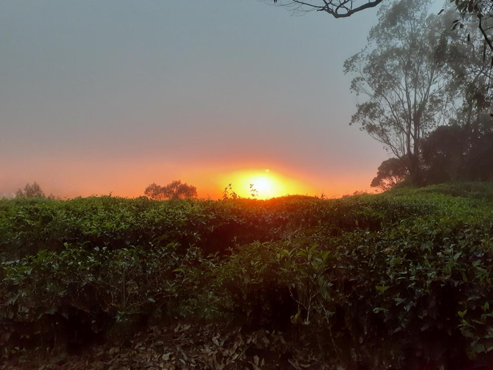 Inn Happy Nuwara Eliya