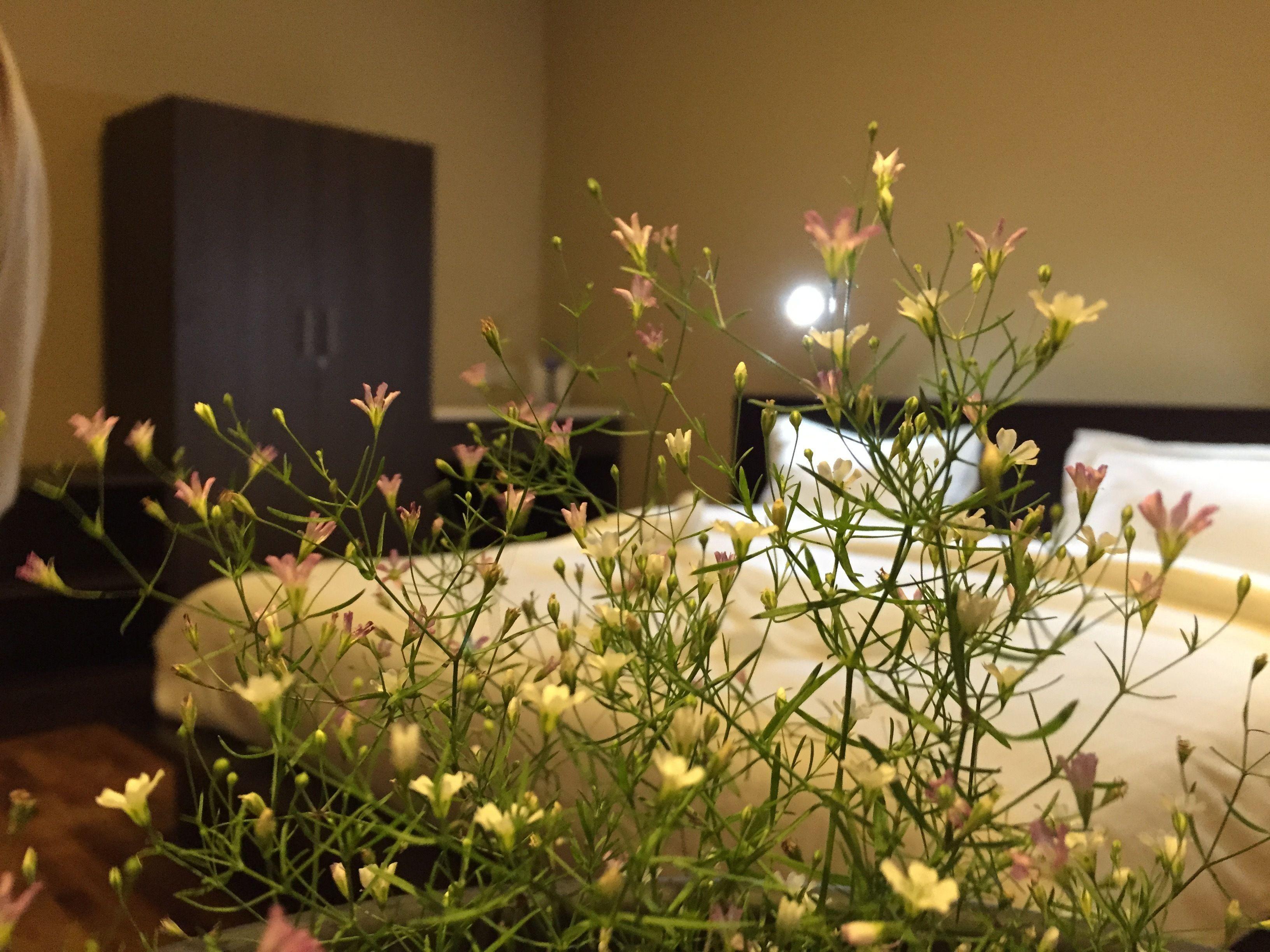 Panorama View Nuwara Eliya