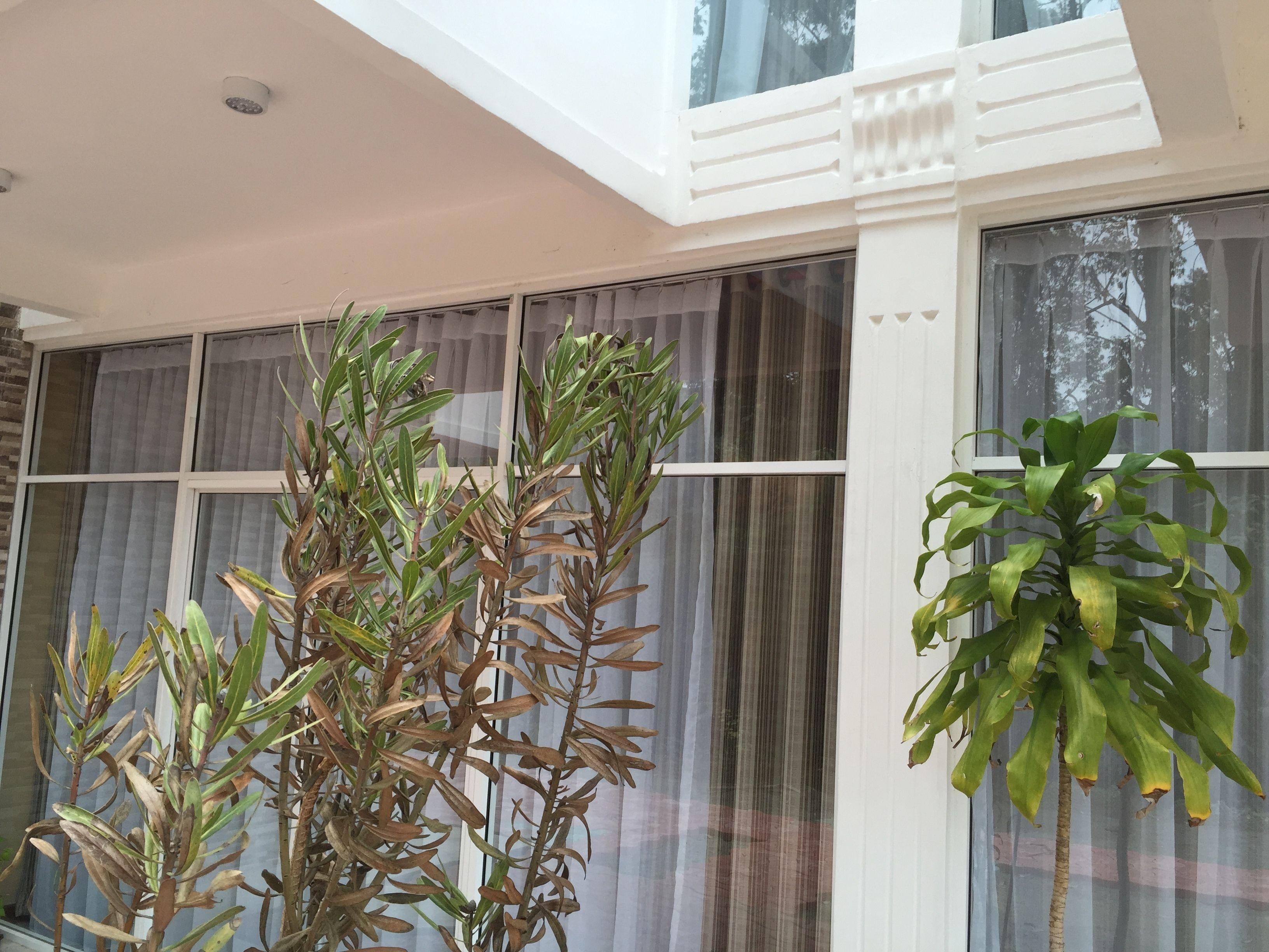 Hotel Panorama View Nuwara Eliya